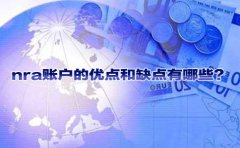 nra賬戶的優(yōu)點和缺點有哪些？