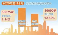 增長！增長！疫情背景下新加坡公司新注冊數量逆勢增長！