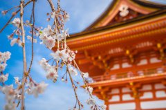 盤點(diǎn)日本常見(jiàn)的公司注冊(cè)類型都有哪些