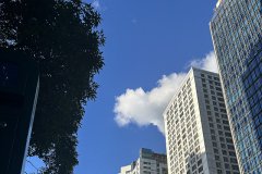美國公司未按時報稅或繳稅的處罰標準是什么