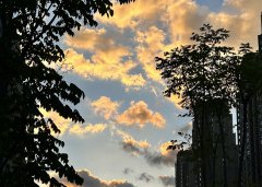 老撾公司董事和股東的任職要求解析